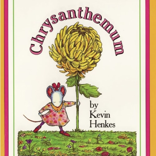 Chrysanthemum