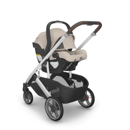 UPPAbaby Mesa V3 Infant Car Seat