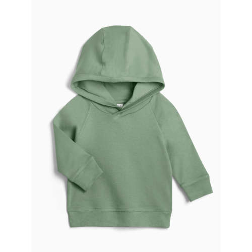 Thyme / 6-12M