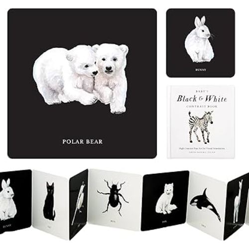 Baby's Black and White Contrast Book: High-Contrast Art for Visual Stimulation at Tummy Time (Tabitha Paige Children's Book Series)