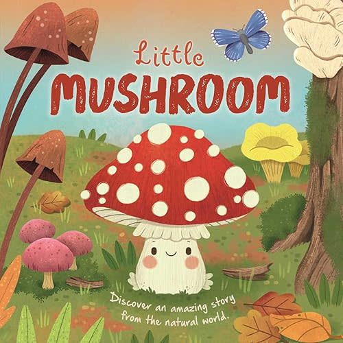 Nature Stories: Little Mushroom-Discover an Amazing Story from the Natural World: Padded Board Book Board book – September 3, 2024