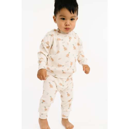 Little Mallard Duck Crewneck Set