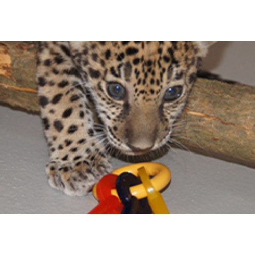 Milwaukee County Zoo