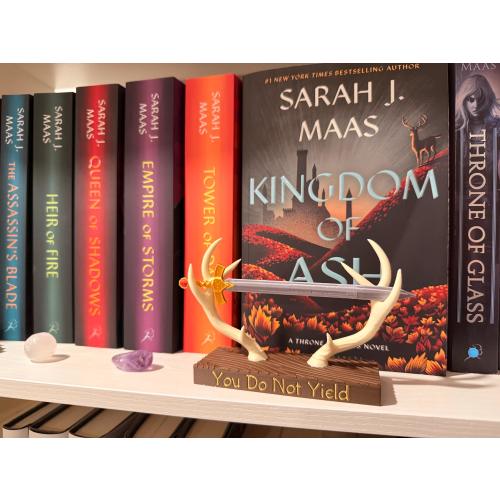 You Do Not Yield Fantasy Book Sword Display | Booktok Bookshelf Decor
