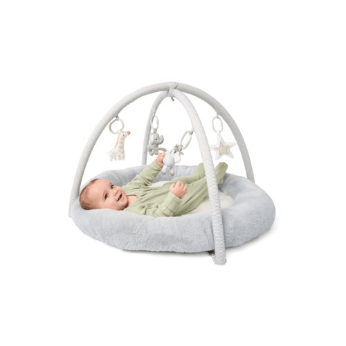 Plush Play Mat and Gym