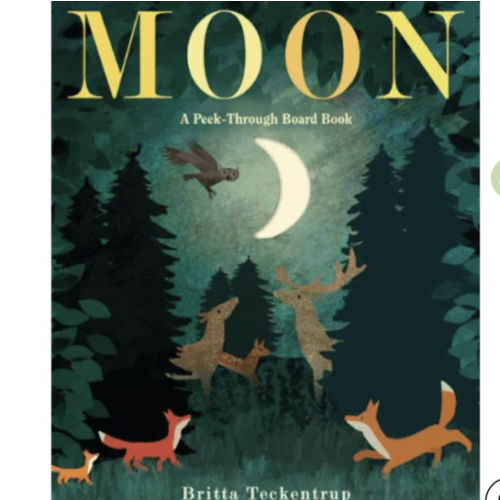 Moon a Peek-Through Board Book