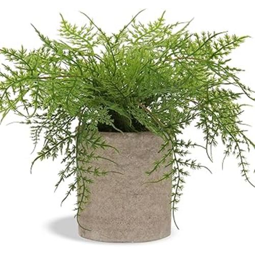 Hollyone Small Fake Plant Potted Plants Artificial Decor Silk Ferns Plant Faux Plants in Pots for Home Living Room Bedroom Desk Bathroom Window Shelf Farmhouse Decoration