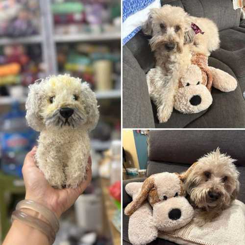 Crochet Wheaten Terrier Dog Keepsake, Handmade Realistic Stuffed Dog Toy, Poodle Crochet, Custom Pet Stuffed Animal, Plush From Pet Photo