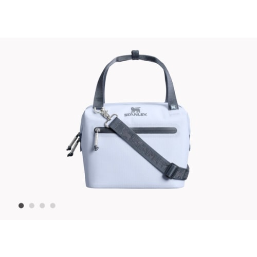 The All Day Julienne Mini Cooler – Stanley 1913