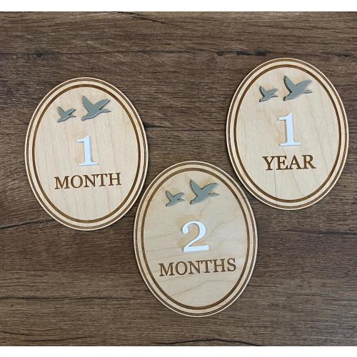 Duck Theme Baby  Monthly Milestone Cards, Newborn Photo Prop