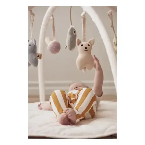 Animal Playmat Accessories - Set of 5