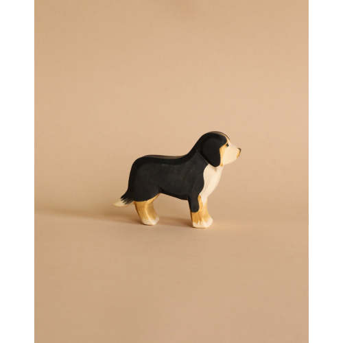 Ostheimer Bernese Mountain Dog