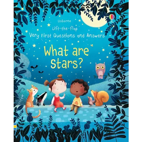 What are Stars?