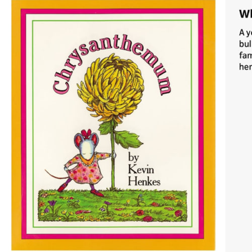Chrysanthemum