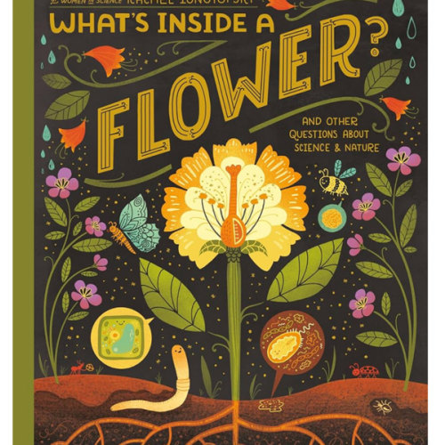 What's Inside A Flower?: And Other Questions About Science & Nature