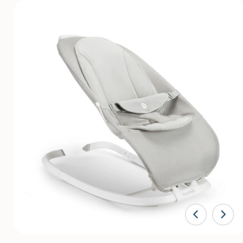 Electric Bouncer & Rocker