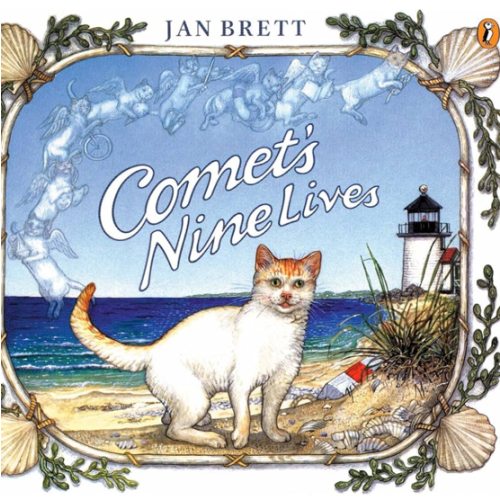 Comet's Nine Lives