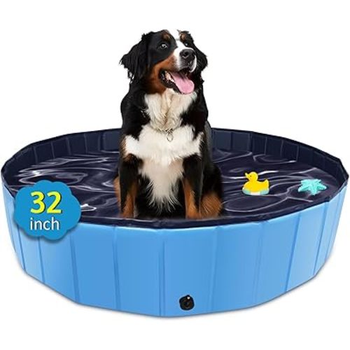 CACSPS Foldable Dog Pool, 32" x 8" Kiddie Pool with Hard Plastic, Non-Slip Dog Bath Tub for Outdoor Backyard, Collapsible Dog Swimming Pool for Kids Dogs Pets (Blue)