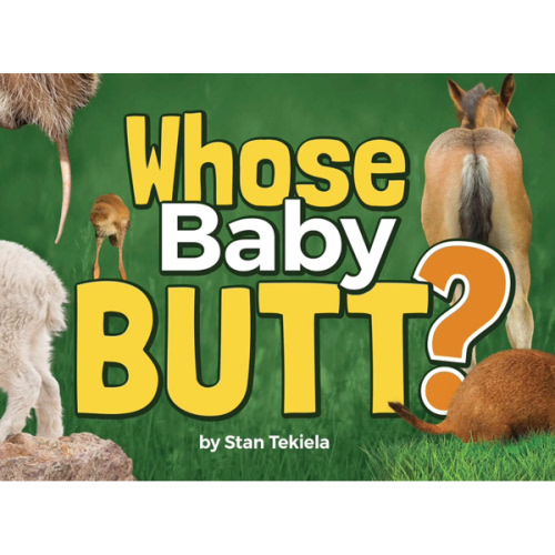 Whose Baby Butt? (Wildlife Picture Books)