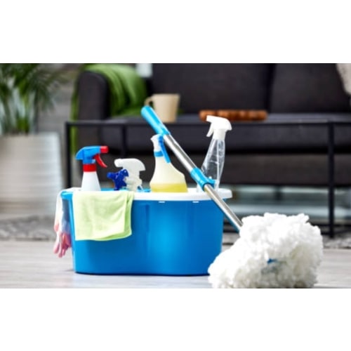 House Cleaning Service