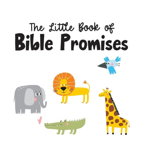 The Little Book Of Bible Promises Book By Christen Kubricht, (Paperback) | Indigo