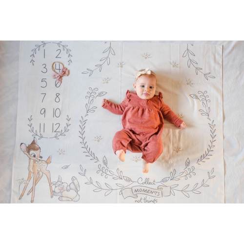 Baby Milestone Mat Disney Theme - Dumbo - Bambi - Minnie - Mickey - Pooh bear - woodland - girl milestone blanket - boy milestone blanket -