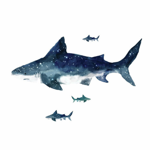 Zoomie Kids Shark Peel and Stick Giant Wall Decals & Reviews | Wayfair