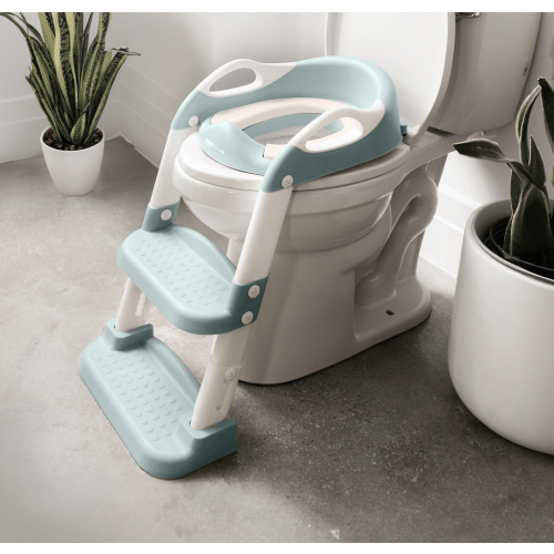 Potty Training Seat with 2 Step Ladder