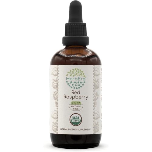 HerbEra Red Raspberry B120 USDA Organic Tincture | Alcohol-Free Extract, High-Potency Herbal Drops | Certified Organic Red Raspberry (Rubus idaeus) Dried Leaf (4 oz)