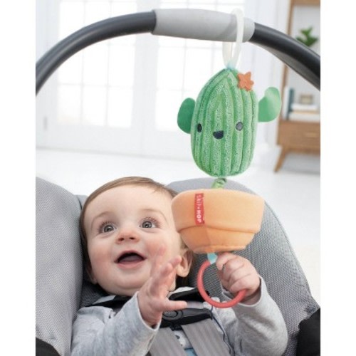 Skip Hop Cactus Jitter Hanging Toy