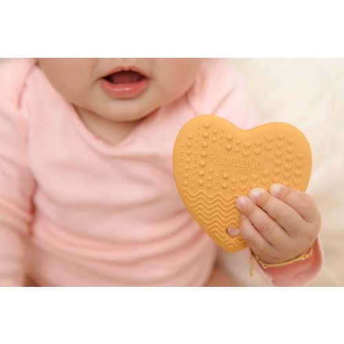 Concha Teether