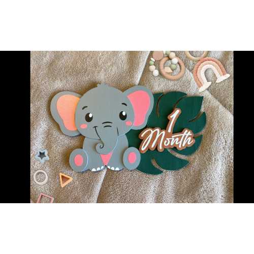 Safari Elephant Baby Milestone Marker Set: Custom Wood Photo Prop