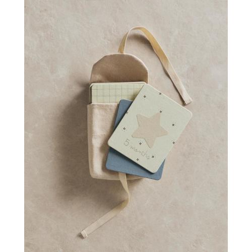 BABY MONTHLY MILESTONE KIT – 12 DONKEY CARDS | Zara Home United States of America