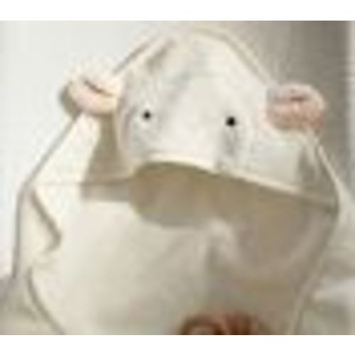 Super Soft Lamb Baby Hooded Towel & Washcloth