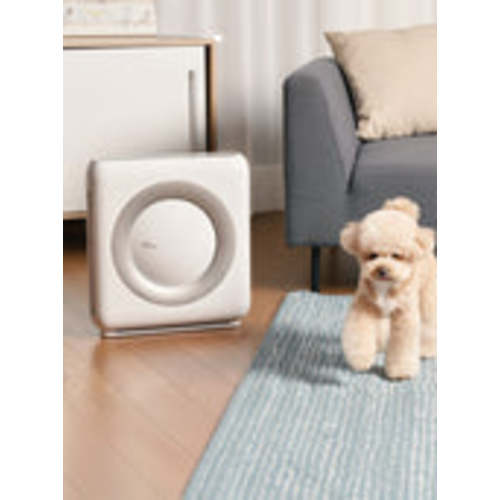 Coway Airmega Mighty AP-1512HH Air Purifier | Best Air Purifier by NY Times – Cowaymega