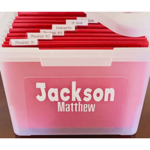 Keepsake Organized File Bin
