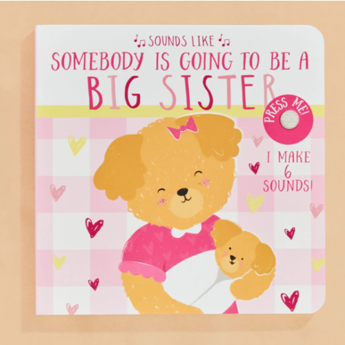 Sounds Like Big Sis Book