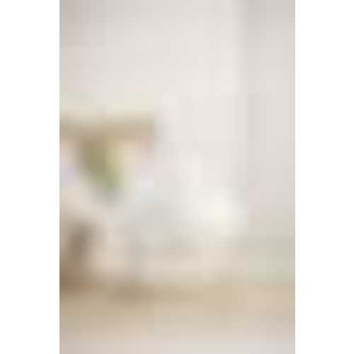 BabyBjörn Canopy for Cradle