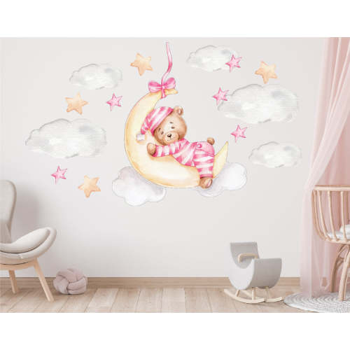 Pink Teddy Bear on the Moon