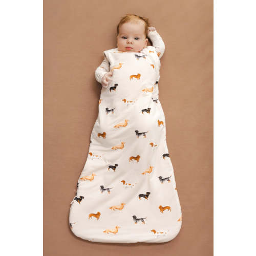 Sleep Bag in Dachshund 1.0