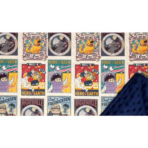 Pixar Blanket / Custom Sizes and Colors