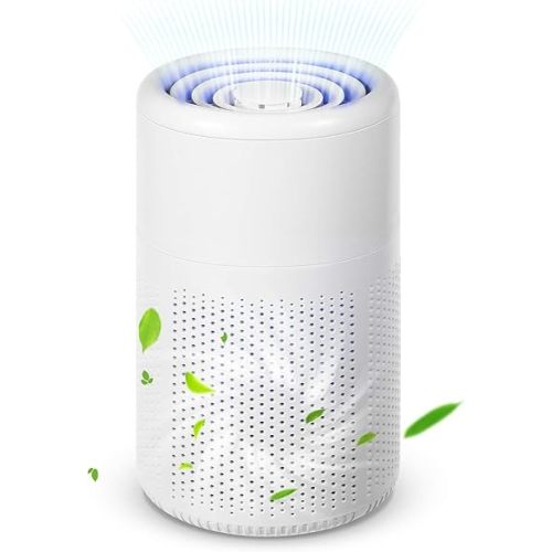 Small Air Purifier for Bedroom Home: Personal Desk Mini Air Purifier – Filters Smoke Dander Hair Odors - 20dB Pet Air Purifiers Fresheners Cleaner for Desktop,Office,Kitchen