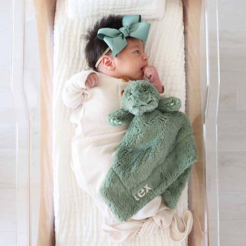 Cuddle Plush Friends Lovey | Tex T-Rex