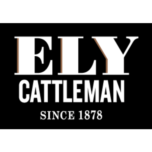 Boy's Ely Cattleman Long Sleeve Textured Aztec Stripe Western Snap Shi