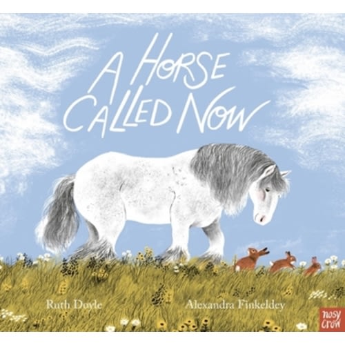 A Horse Called Now book by Ruth Doyle