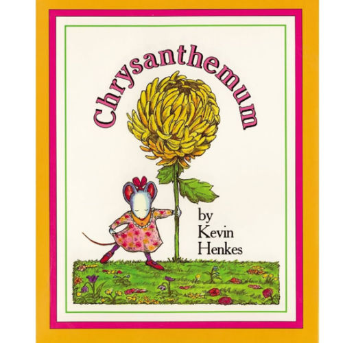 Chrysanthemum