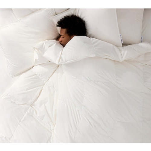 Classic Percale Sheet Set | Brooklinen | King | Oak