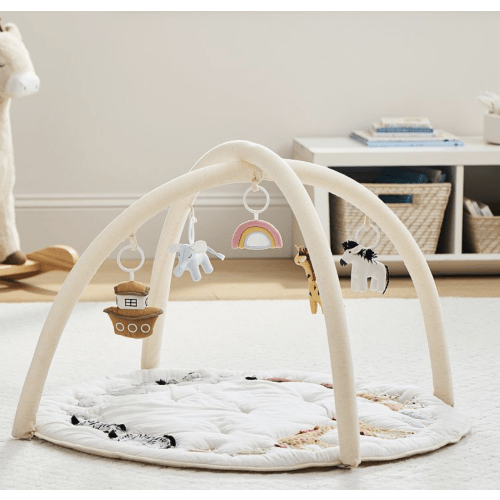 Noah's Ark Activity Gym