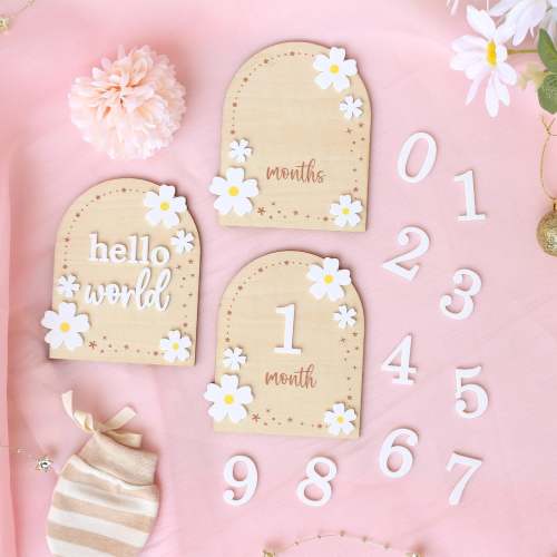 Baby Girl Monthly Milestone Sign: Flower Theme, Photo Prop