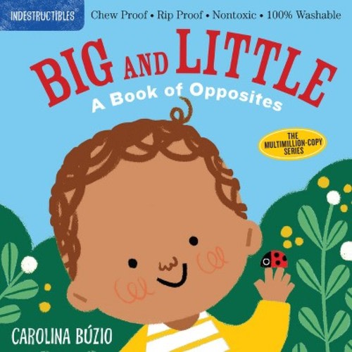 Indestructibles: Big and Little: A Book of Opposites - by Amy Pixton